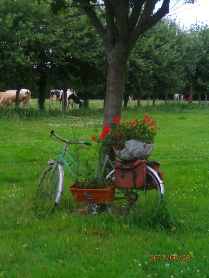 Camping Du Creulet Crouay Exteriér fotografie